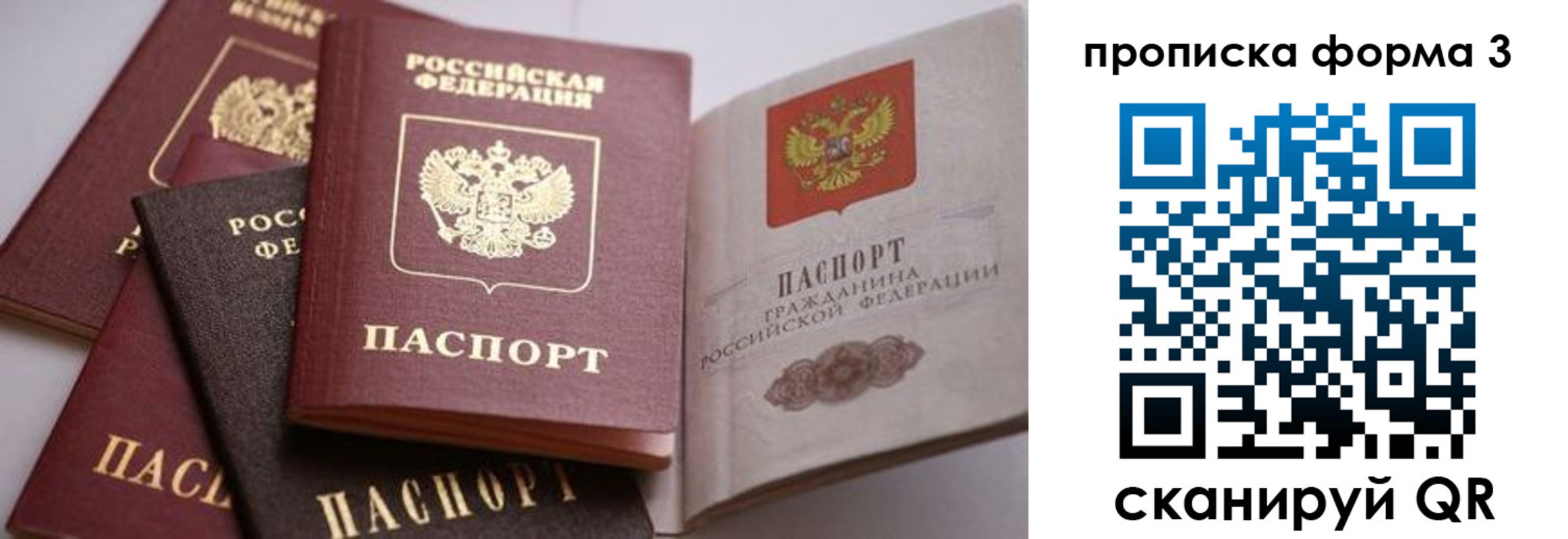 прописка для школы в Красном Куте